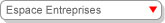 espace entreprises